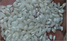 Idly Rice