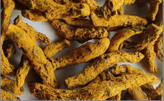 Turmeric Fingers