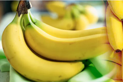 Banana Pulp / Puree