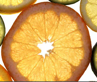 Nutraceuticals / Food Ingredients