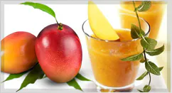 Alphonso Mango Puree & Concentrate