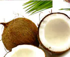 Coconut