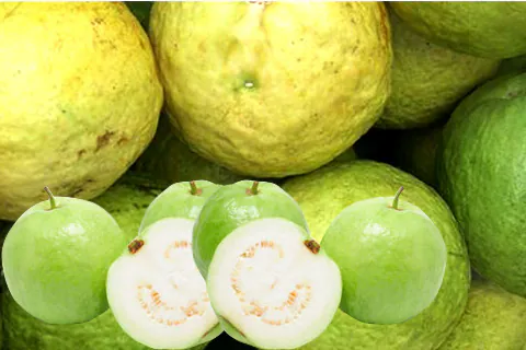 White Guava Pulp / Puree