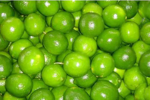 Lime Pulp / Puree