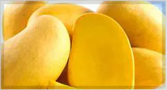 Banganapalli Mango Pulp / Puree