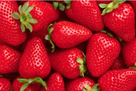 Strawberry Pulp / Puree